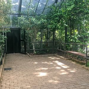 Trail of the Elephants - Butterfly House - December 2018