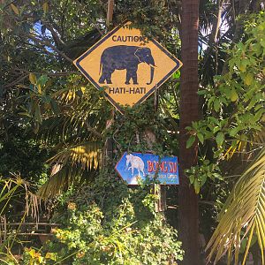 Trail of the Elephants - Elephant Theming  - December 2018