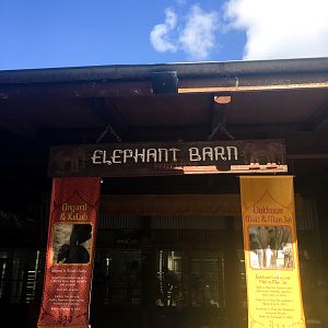 Trail of the Elephants - Elephant Barn - December 2018