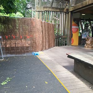 Trail of the Elephants - Pathway Along Orangutan Enclosure - December 2018