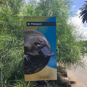 Platypus Sign - December 2018