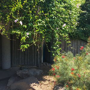 Entrance of Platypus House - December 2018