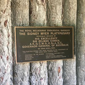 Plaque for Platypus - December 2018