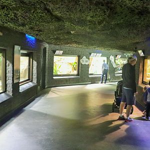 Reptile House - December 2018