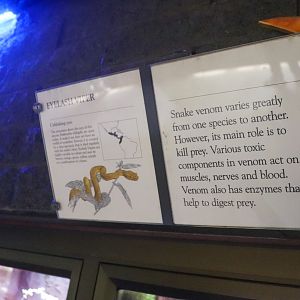 Reptile House - Signage Example - December 2018