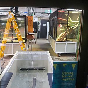Reptile House - Public Viewing Window into Off-Display Area - December 2018