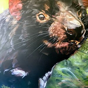 Lion Gorge - Tasmanian Devil Painting - December 2018