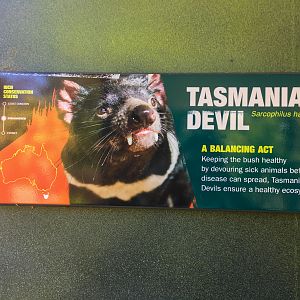 Lion Gorge - Tasmanian Devil Sign - December 2018