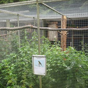 Nordsjællands Fuglepark - Blue-winged macaw aviary
