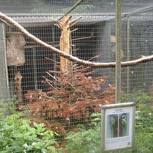 Nordsjællands Fuglepark - Lord Derby's parakeet aviary