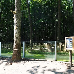 Native amphibian pool at former site of European wildcat exhibit, 2020-07-12