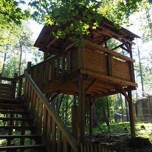 Arctic wolf viewing area, 2020-07-12