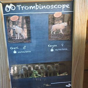 Arctic wolves at Han signage, 2020-07-12