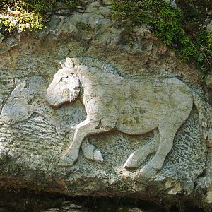 Rock carving wild horses, 2020-07-12