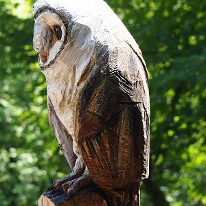 Wood carving barn owl on terrace of Le Tivoli restaurant, 2020-07-12
