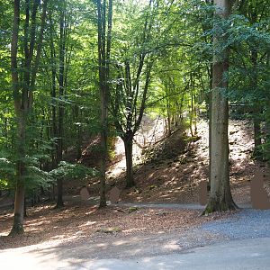 Part of the Alpine chamois area, 2020-07-12