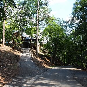 Road from Le Tivoli restaurant and main road in Alpine chamois area, 2020-07-12