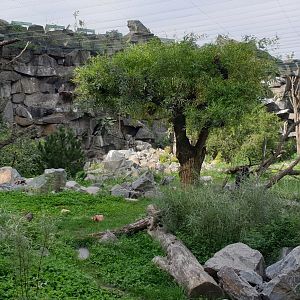 Birds of Pray open aviary