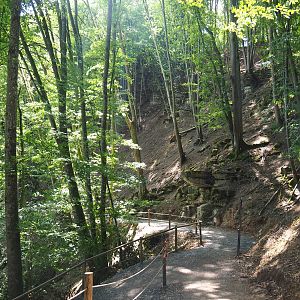 Ravine forest and trail to Lesse valley and lower area of wildlife park, 2020-07-12