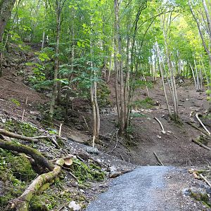 Ravine forest and trail to Lesse valley and lower area of wildlife park, 2020-07-12