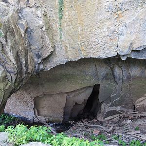 Gouffre de Belvaux/Chasm of Belvaux, 2020-07-12