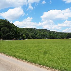 Mixed paddock in the Lesse valley/Lower area of the wildlife park, 2020-07-12