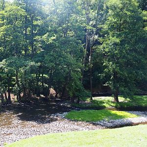 Lesse river shortly before the Chasm of Belvaux, 2020-07-12