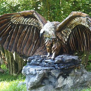 Beautiful wood carving of a Griffon vulture, 2020-07-12