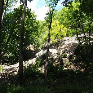 Exhibit for non-flighted Western Eurasian griffon vultures, 2020-07-12