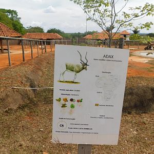 The two addax enclosures - Brasilia zoo