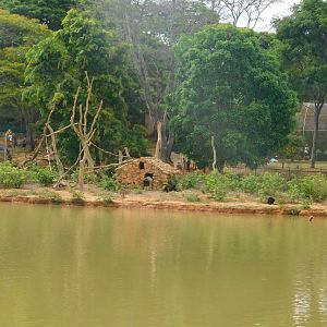 Spider-monkey island - Brasilia zoo