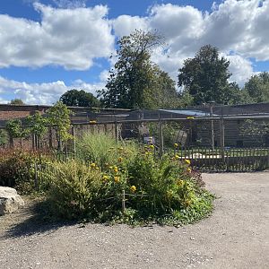Aviary in Walled Garden 290820
