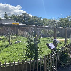 Aviary in Walled Garden 290820