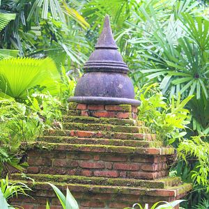 Burmese Stupa, Elephants of Asia
