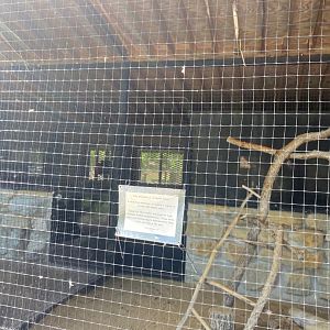 Birds of prey- former turkey vulture exhibit