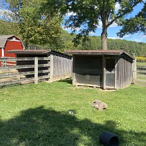 Farm animals- empty exhibit