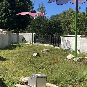 Prairie- Black tailed prairie dog exhibit
