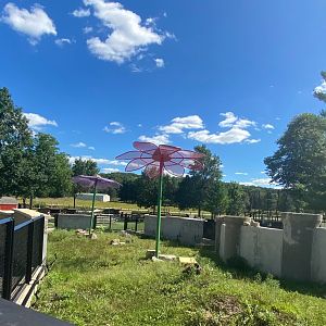 Prairie- Black tailed prairie dog exhibit