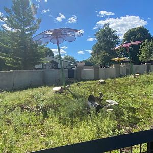 Prairie- black tailed prairie dog exhibit