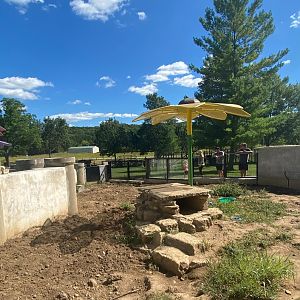 Prairie- American badger exhibit