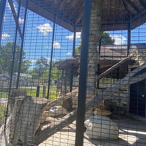 Small mammals- North American porcupine exhibit