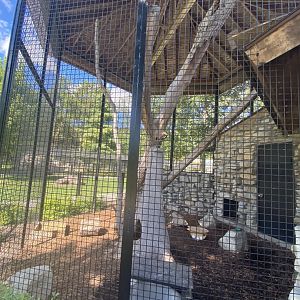 Small mammals- fisher exhibit