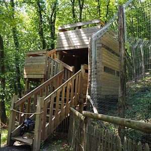 Second Eurasian lynx viewing tower, 2020-07-12