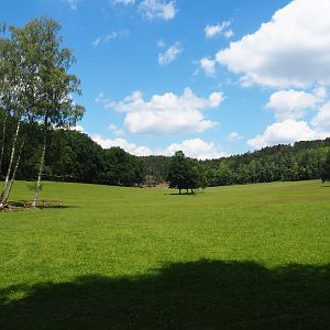Large mixed hoofstock paddock in the Lesse valley/Lower area of the wildlife park, 2020-07-12