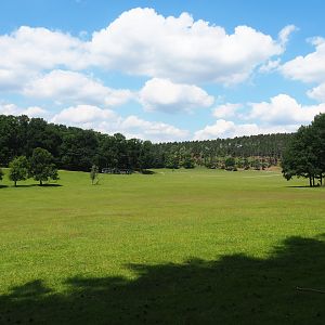Large mixed hoofstock paddock in the Lesse valley/Lower area of the wildlife park, 2020-07-12