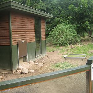 Nordsjællands Fuglepark - Meerkat/tortoise exhibit