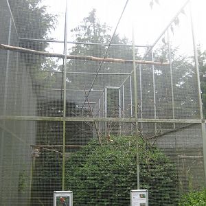 Nordsjællands Fuglepark - Scarlet macaw aviary