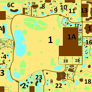 Make an Exhibit for that Country - Angola / Miombo Trail