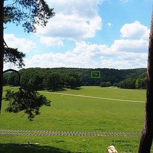 Large mixed hoofstock paddock in the Lesse valley/Lower area of the wildlife park, 2020-07-12