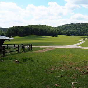 Large mixed hoofstock paddock in the Lesse valley/Lower area of the wildlife park, 2020-07-12